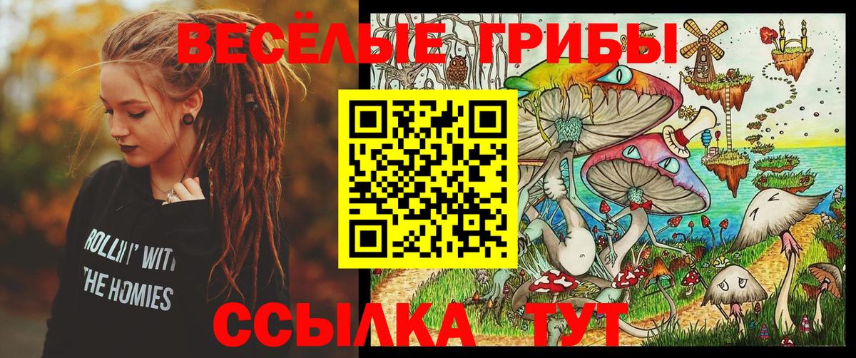 Галлюциногенные грибы Psilocybine cubensis Гулькевичи