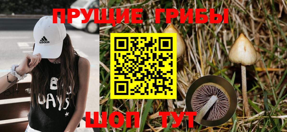 Гулькевичи  Галлюциногенные грибы MAGIC MUSHROOMS  Вход с VPN 